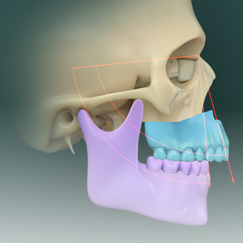 Oral Surgery Updates Ebook Library Image