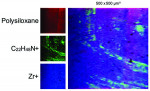 (9.) ToF-SIMS visualization of plastic residues (polysiloxane) and a quaternary ammonium compound (C22H48N+) on the surface of the ceramic implant shown in Figure 8.