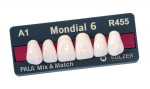 Mondial® Denture Teeth